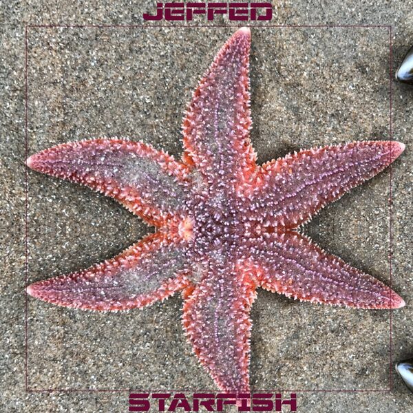Starfish — cover
